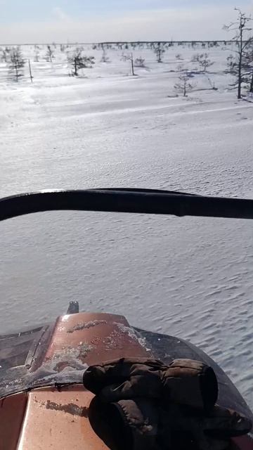 на буране по болоту