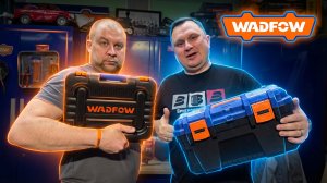 Опять WADFOW. Удивительное...