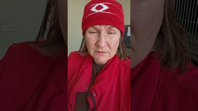 Забрала котика из клиники