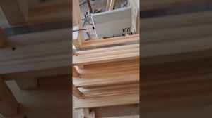 1000056118.mp4 (Собака наблюдает за устройством лестницы на 2-ой этаж в доме А-фрейм)