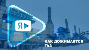 КАК ДОЖИМАЕТСЯ ГАЗ / Второй эпизод сериала к 40-летнему юбилею ввода ЯНГКМ