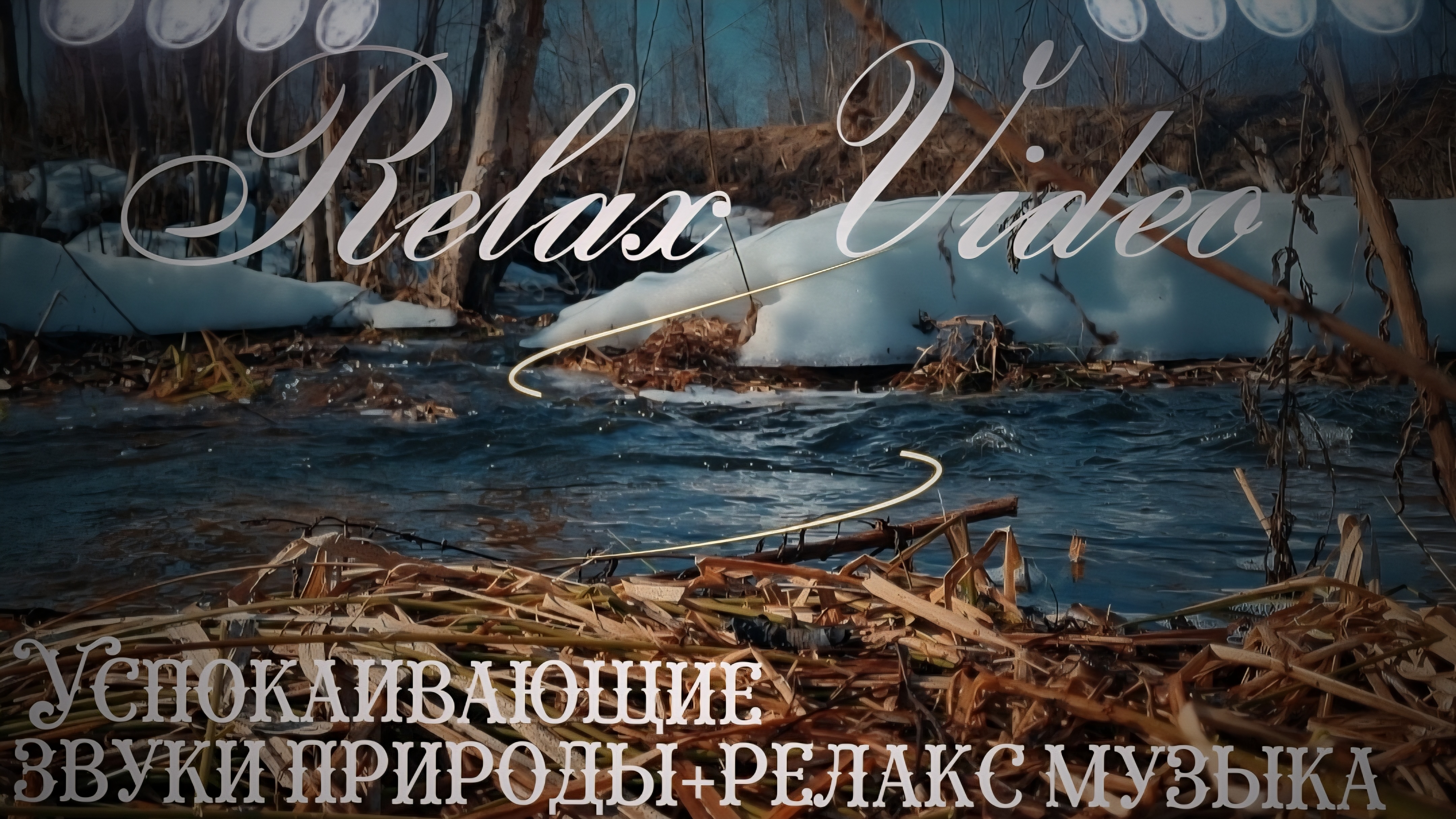 Ручей и природа — идеальное видео для релаксации ума. #ручей #леснойручей  #тихийручей