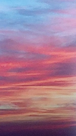 Алиса 🍊 🍊