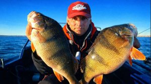 КАЖДЫЙ ЗАБРОС -КИЛО! ГОРБАЧИ ВКЛЮЧИЛИ ЖОР!