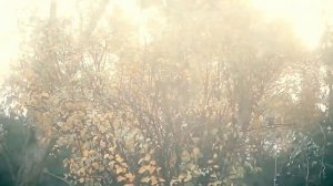 Когда мы вдвоём - Владимир Мещеряков(сл.Е.Александрова)