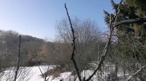 Весенняя обрезка фруктовых деревьев.