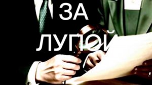 Смертельная уверенность - виновница ДТП с двумя погибшими … лишена права вождения.