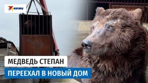 Спасённый из тесной клетки медведь Степан переехал из Троицка в национальный парк «Зюраткуль»