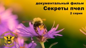 Секреты пчел - Secrets of the Bees - 2026 - Док.фильм - 2 серия