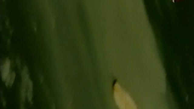 Знаменитые самолёты 35 серия (документальный сериал, 1997)