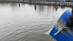 3bkV75zy-4_org_1776235133328