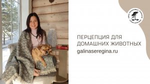 ПЕРЦЕПЦИЯ ДЛЯ ДОМАШНИХ ЖИВОТНЫХ