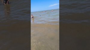 Ейск.Змея в море.