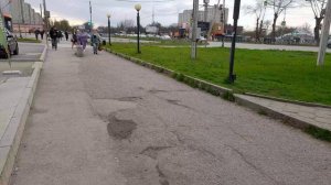 Разговор во время прогулки.  15.04.2026