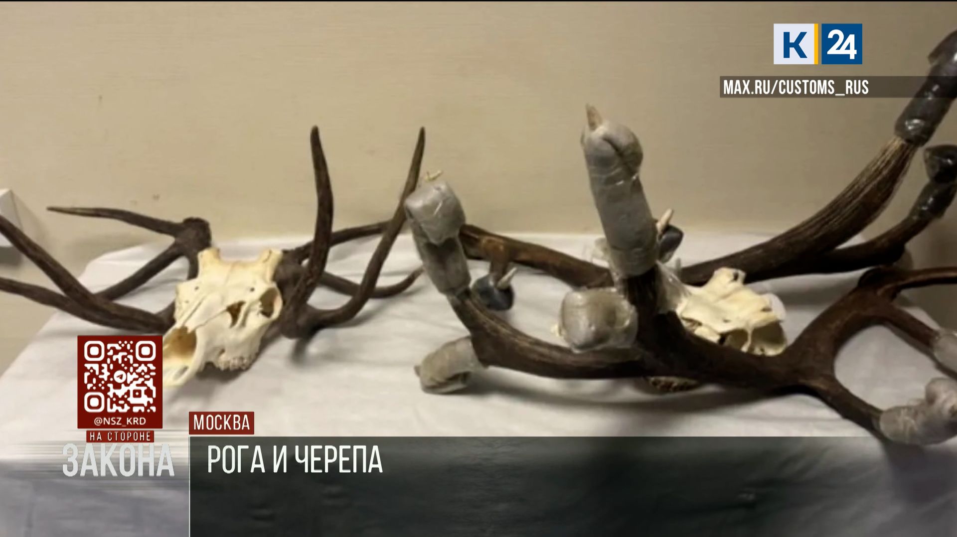 На стороне закона. 15.04.2026