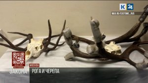 На стороне закона. 15.04.2026