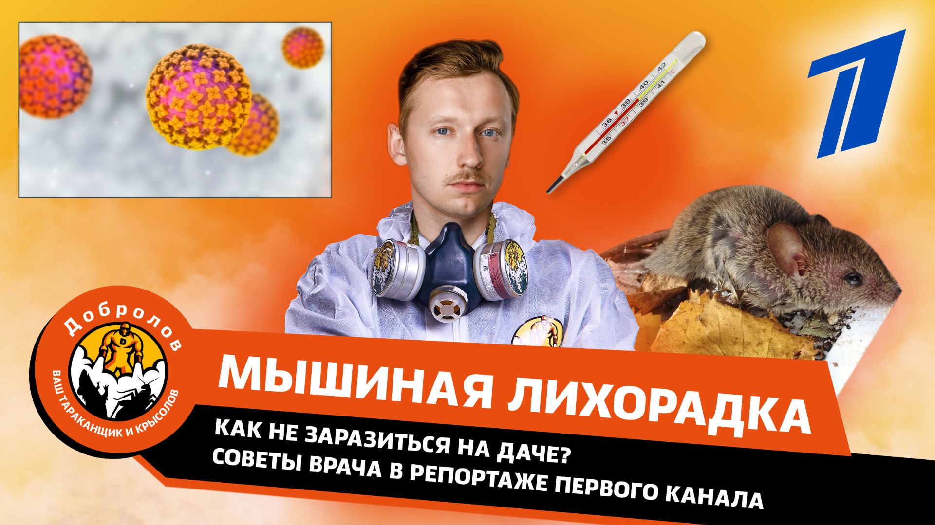 Мышиная лихорадка (ГЛПС) на даче: как не заразиться? Советы врача в репортаже Первого канала