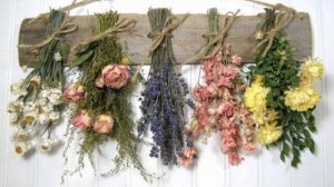 Вяленький цветочек обманывает своих подписчиков