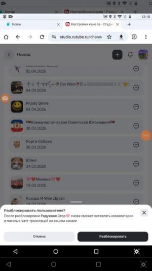 Снимаем блокировку с канала Радужная Стор🩷