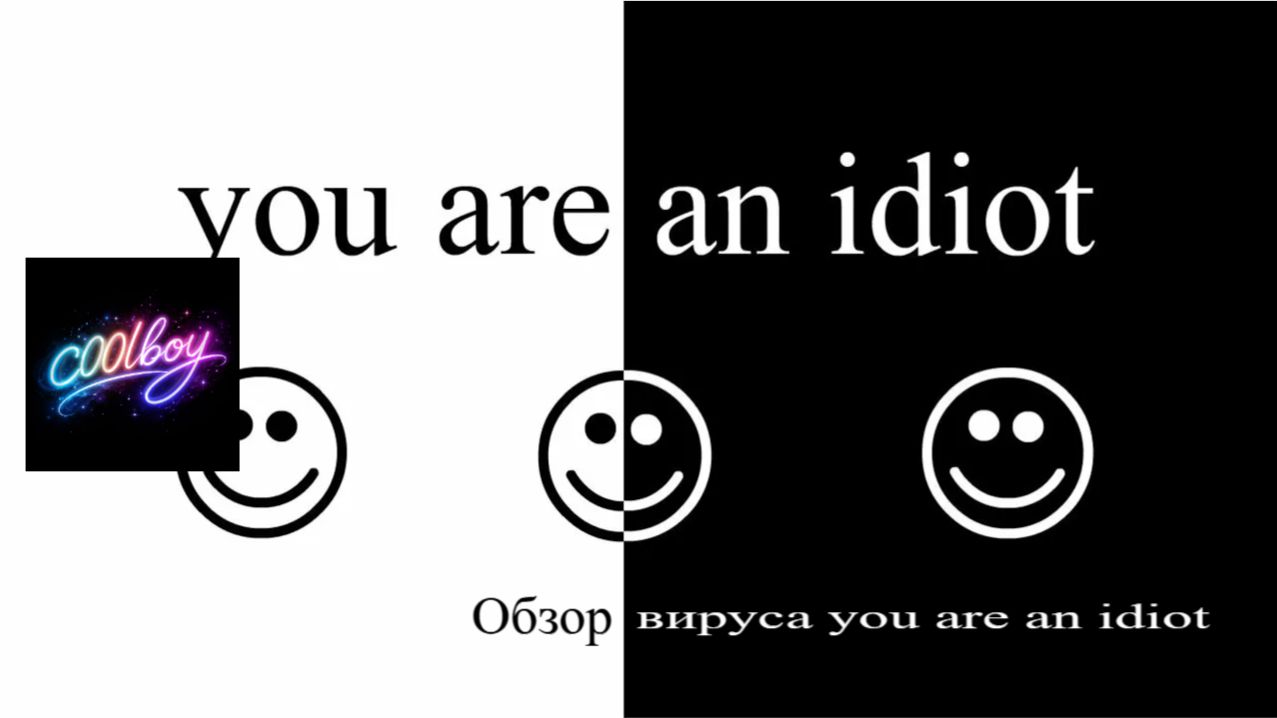 The You Are An Idiot (virus)