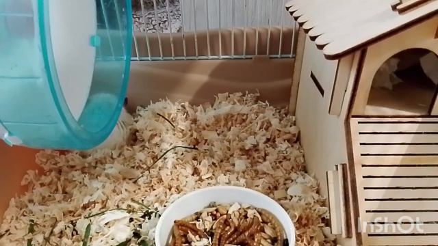 Неожиданная находка.