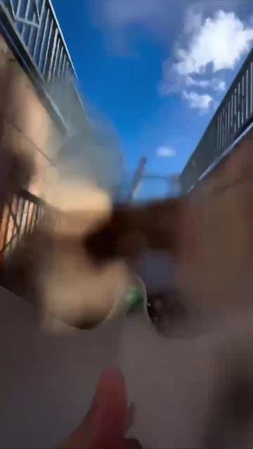 Водная горка «Бездна Нассау»