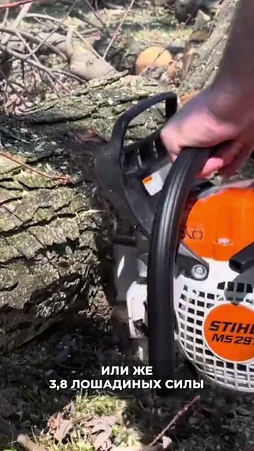 Фермерская пира #stihl #инструмент #столярка