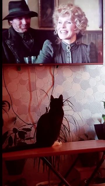 Кот -Обормот