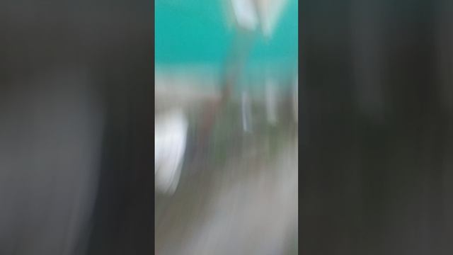 Светик сошел с ума