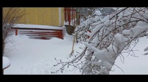 Открытие  охоты на вальдшнепа апрель 2026г.