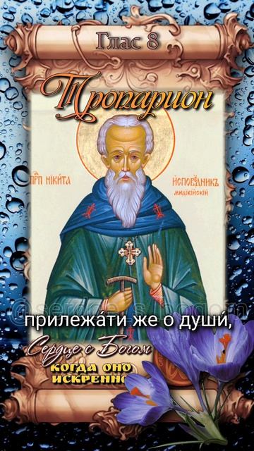 16 апреля Преподобный Никита Мидикийский (824г)