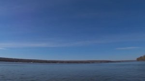 Как найти хищника весной? Догмы рухнули!