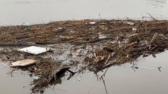 Протипаводковые мероприятия