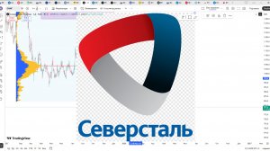Обзор акции СЕВЕРСТАЛЬ.
