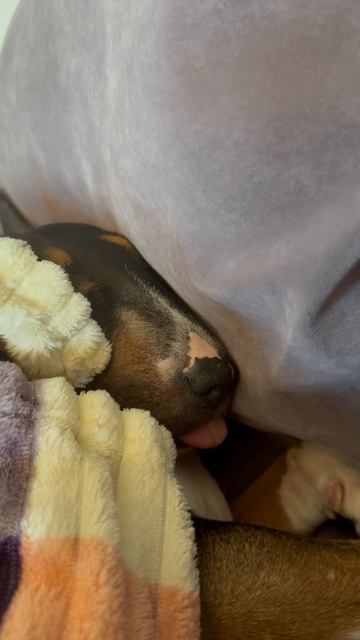 Вот как надо отдыхать 👍🏻🤣