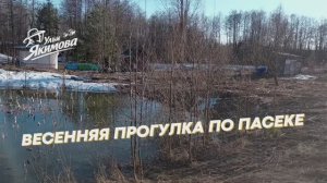 Весенняя прогулка по пасеке