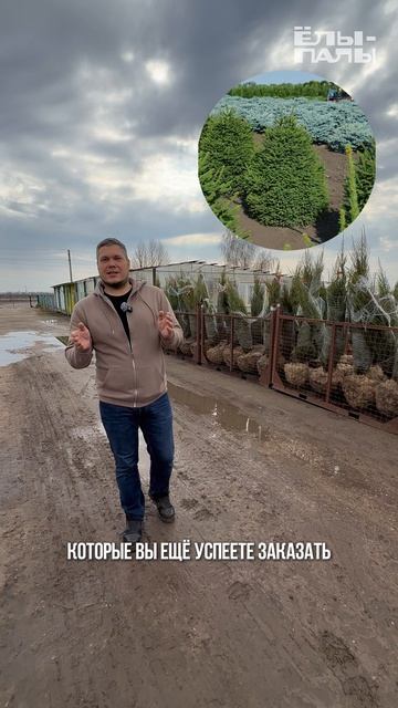 Сегодня отгружаем заказ одного из крупнейших садовых центров России.🚛