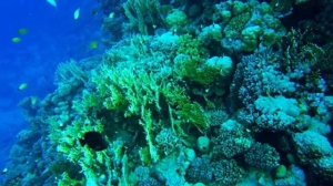 Медитация для глубокого сна