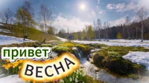 Привет 🌼ВЕСНА🌷