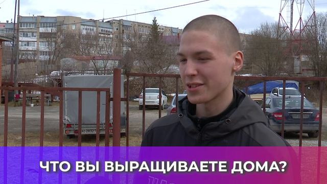 Соль-опрос про домашние растения_06.04.2026_СольТВ