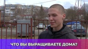 Соль-опрос про домашние растения_06.04.2026_СольТВ