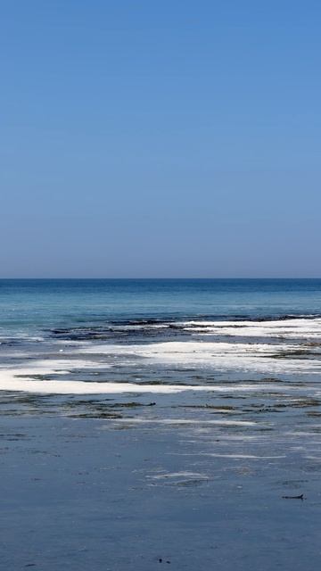 Селёдка подошла!