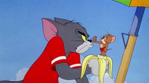 Том и Джерри. Золотая коллекция 58 серия