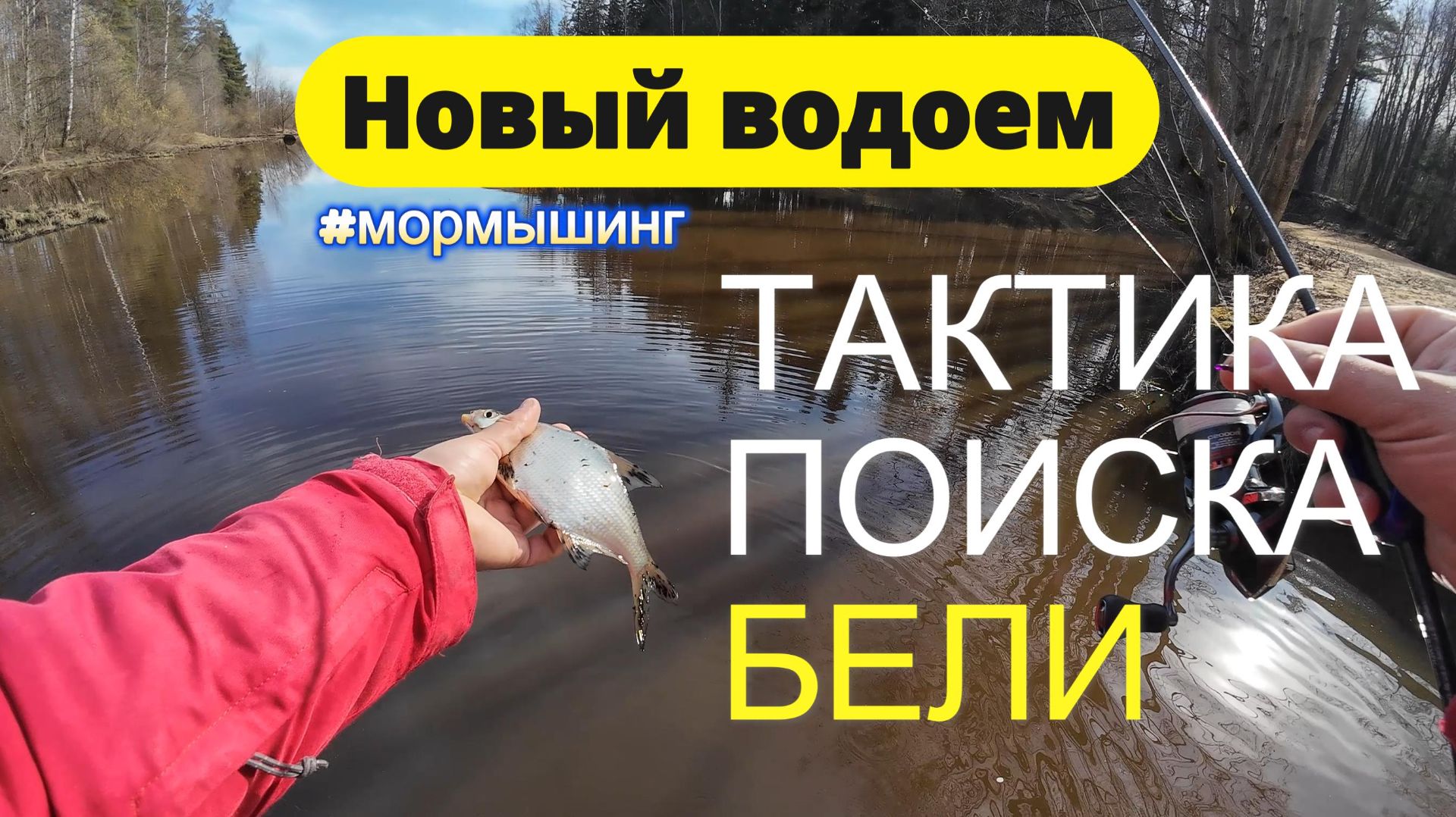 #мормышинг | Новый водоем? Как найти рыбу? | Ищем бель и подбираем тактику |