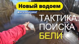 #мормышинг | Новый водоем? Как найти рыбу? | Ищем бель и подбираем тактику |