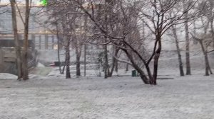 Рубрика Прогулка