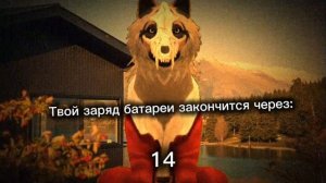 у кого жиза?