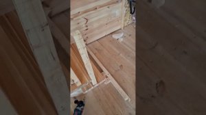 1000056119.mp4 (Собака наблюдает за устройством лестницы на 2-ой этаж в доме А-фрейм)