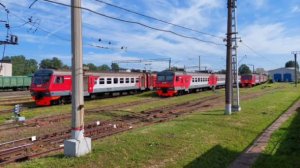 Санкт-Петербург Товарный Витебский: стук колес для крепкого сна