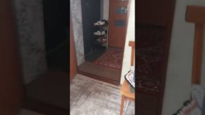 Саша стример